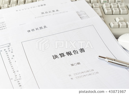 Financial Statement Financial Statement Cash Flow Statement Balance Sheet Income Statement 43871987