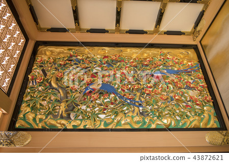 Nagoya Castle Honmaru Gotemba 43872621