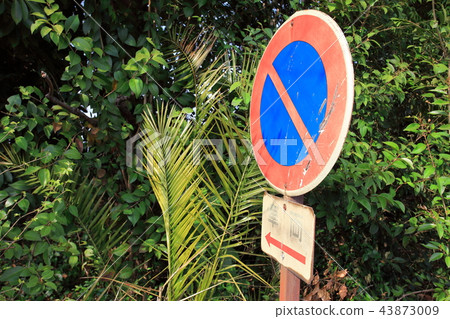 no parking no parking 43873009
