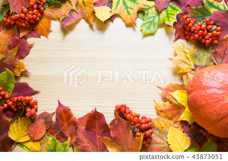 Border of autumn leaves, pumpkin and rowanberry 43873051