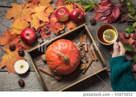 Hot cup of tea in hand with decor of pumpkins. Hot cup of tea in hand with decor of pumpkins. 43873052
