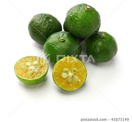 扁實檸檬 扁實檸檬 43873149