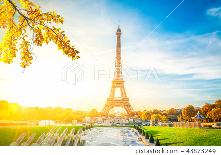 eiffel tour and from Trocadero, Paris 43873249