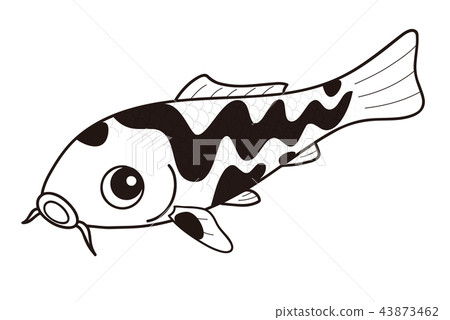 Carp Nishikigoi Kuroryu black and white Carp Nishikigoi Kuroryu black and white 43873462