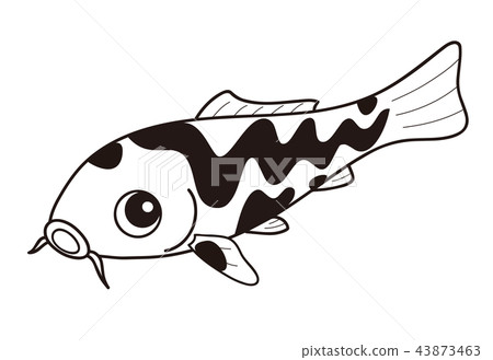 Carp Nishikigoi Kuroryu black and white Carp Nishikigoi Kuroryu black and white 43873463