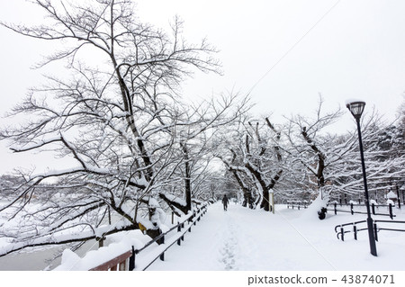 在福島縣郡山市民放鬆的地方記錄大雪挖掘現場人氣現場後藤公園新雪冬天圖像有價值的冬天風景 43874071
