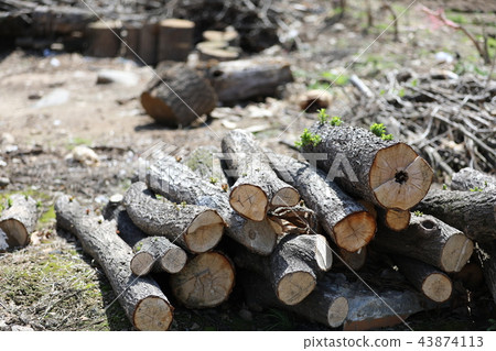 記木柴 記木柴 43874113