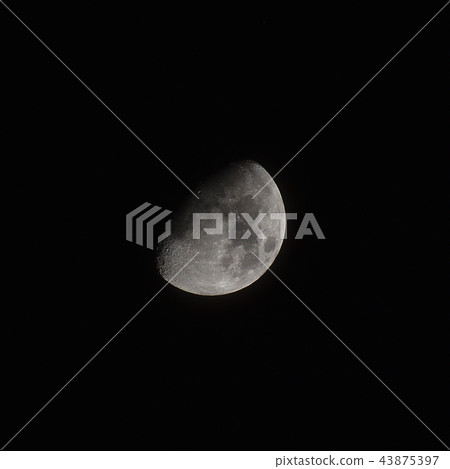 月份（9.4歲） 43875397