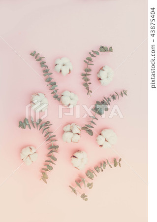 Cotton flowers with eucaliptus Cotton flowers with eucaliptus 43875404