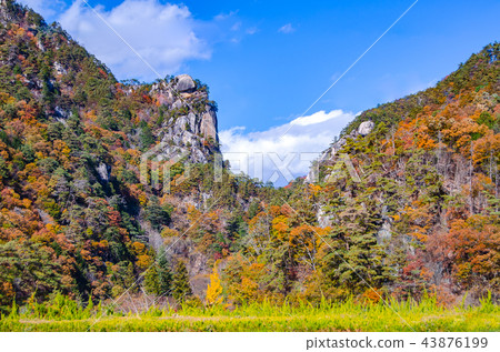 秋天Shosenkyo,Kakuenbutsu全景 秋天Shosenkyo,Kakuenbutsu全景 43876199