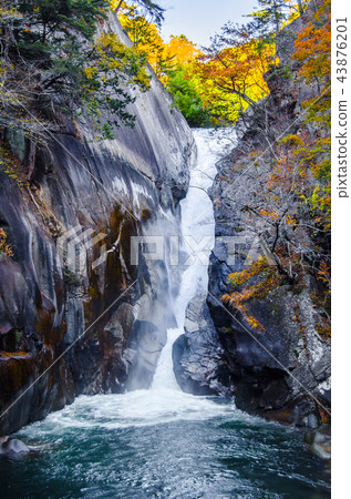 Shosenkenshigen Senba Fall of Autumn 43876201