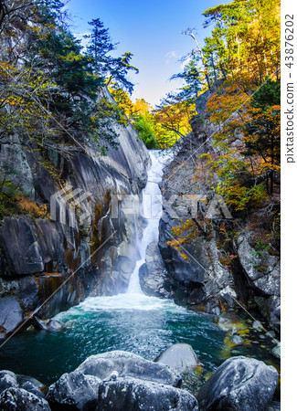 Shosenkenshigen Senba Fall of Autumn 43876202