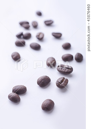 咖啡豆,烤 咖啡豆,烤 43876460