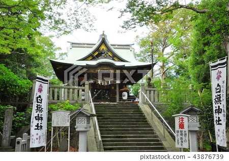 Fujisawa Hakubu God's shrine and grounds 43876739