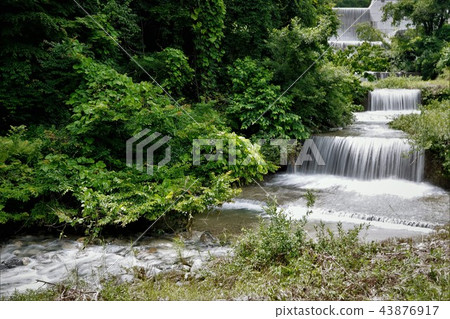 Population waterfall 43876917