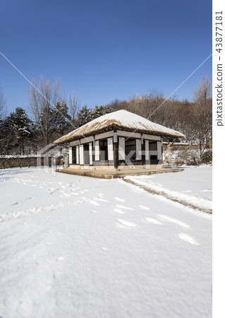 Thatched snow house Thatched snow house 43877181