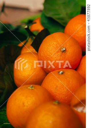 many fresh tangerines on a wooden background many fresh tangerines on a wooden background 43877892