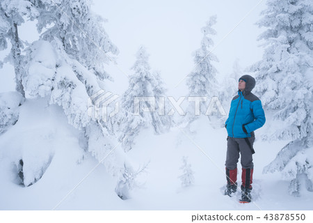 Winter adventures in a mountain forest Winter adventures in a mountain forest 43878550