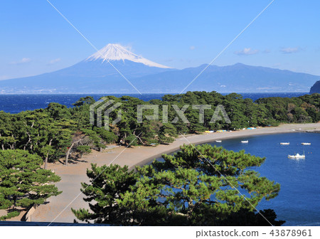 Toda no Matsubayashi and Mt. Fuji-8116 43878961