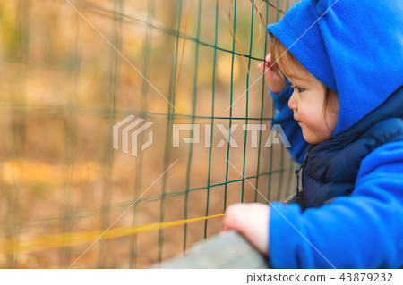 Toddler boy playing outside in autumn Toddler boy playing outside in autumn 43879232