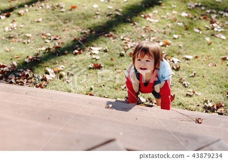 Toddler boy playing outside in autumn Toddler boy playing outside in autumn 43879234