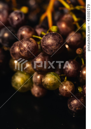Berries ripe red grapes on a branch close-up Berries ripe red grapes on a branch close-up 43880179