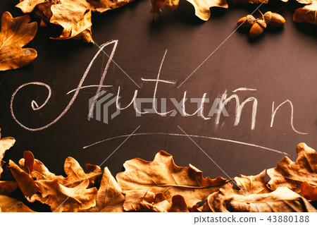 yellow leaves and the inscription autumn yellow leaves and the inscription autumn 43880188