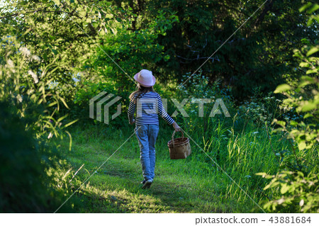 Young girl walking on a path through green woods carrying a basket Young girl walking on a path through green woods carrying a basket 43881684