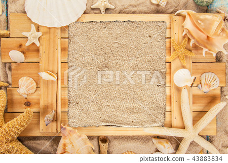 Summer traveling time. Sea holiday background with various shells. Summer traveling time. Sea holiday background with various shells. 43883834