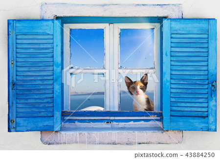 Beautiful vintage Greek window with blue shutters. Typical Greek picture. Beautiful vintage Greek window with blue shutters. Typical Greek picture. 43884250