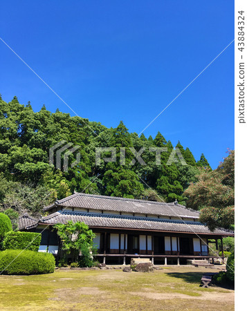 Yaokushikan 43884324
