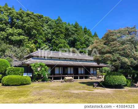 Yaokushikan 43884325