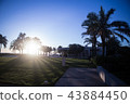 Danang 43884450