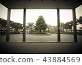 Danang 43884569