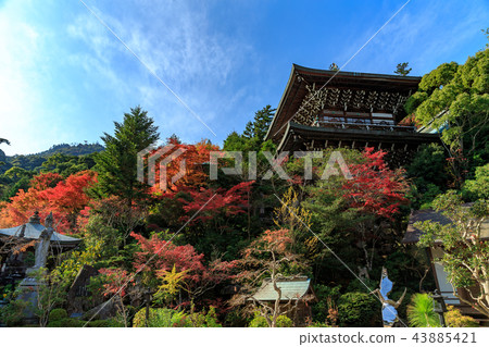 Miyajima Omotoyama Daishoin 43885421