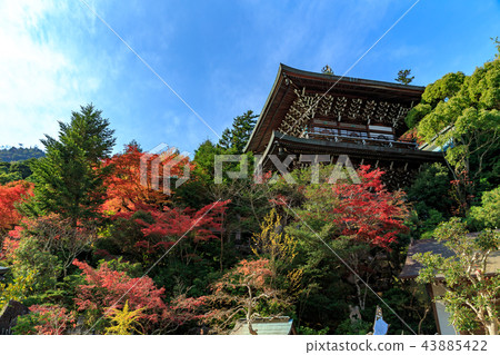 Miyajima Omotoyama Daishoin Miyajima Omotoyama Daishoin 43885422