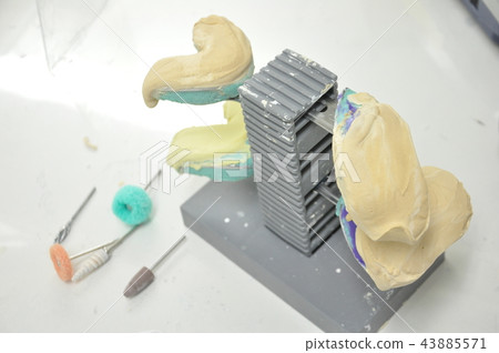 牙科技師 43885571