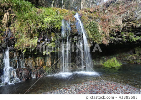 Fujinomiya City Jinguma Waterfall 43885683