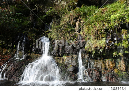 Fujinomiya City Jinguma Waterfall 43885684