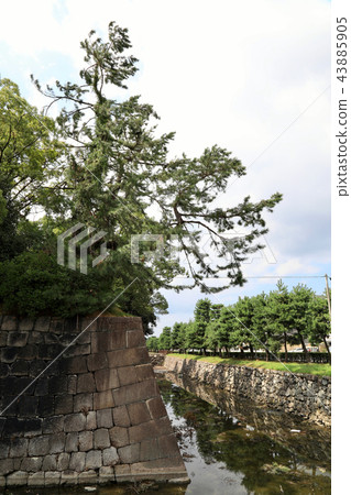 Outer moat of Nijo Castle (Kyoto City) 43885905