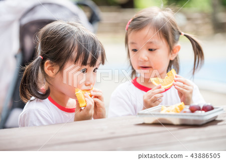 summer, Korean, vixen 43886505