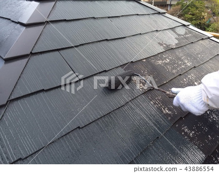 Roof coating 43886554