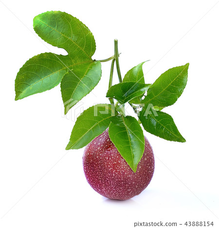 Passion fruit isolated on white background 43888154