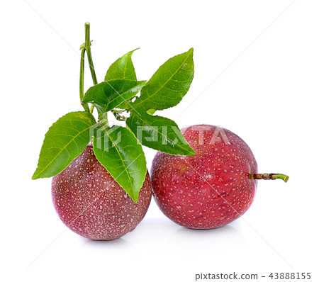 Passion fruit isolated on white background 43888155