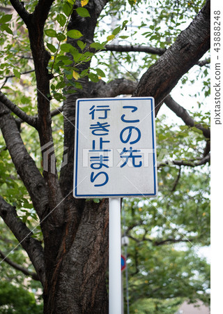 "This is a dead end" sign 43888248