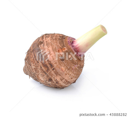 taro isolated on white background taro isolated on white background 43888282