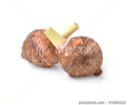 taro isolated on white background taro isolated on white background 43888283