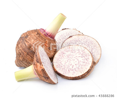 taro isolated on white background taro isolated on white background 43888286