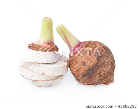 taro isolated on white background taro isolated on white background 43888288
