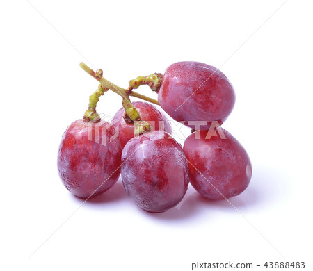 Grape Isolated On White Background 43888483